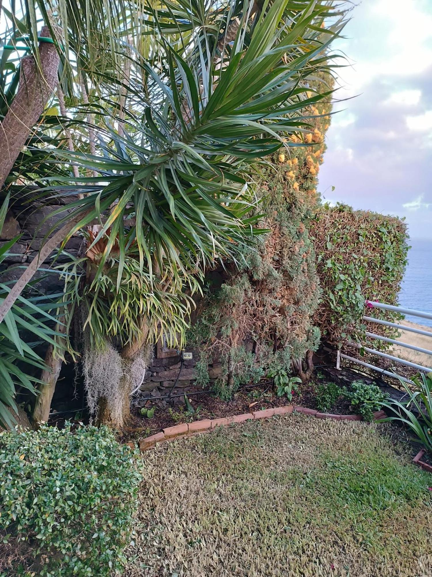 Moradia T2 Madeira * Funchal (Madeira)