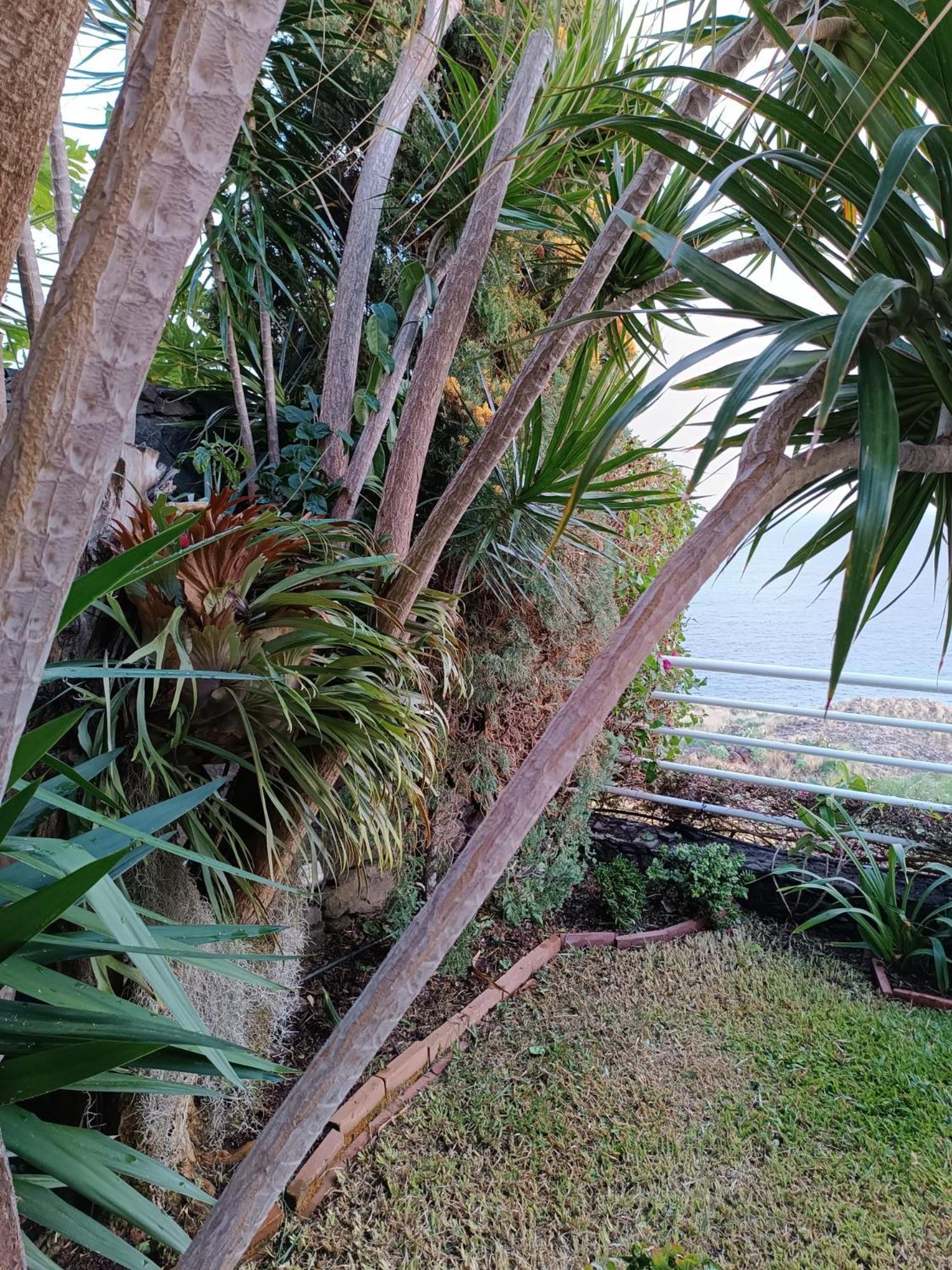 Moradia T2 Madeira Holiday home *